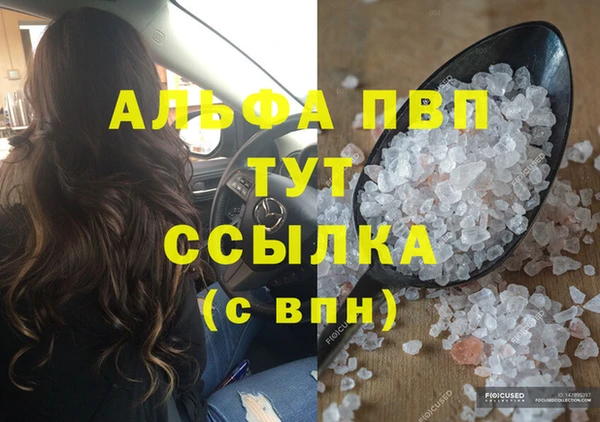 сатива Белокуриха
