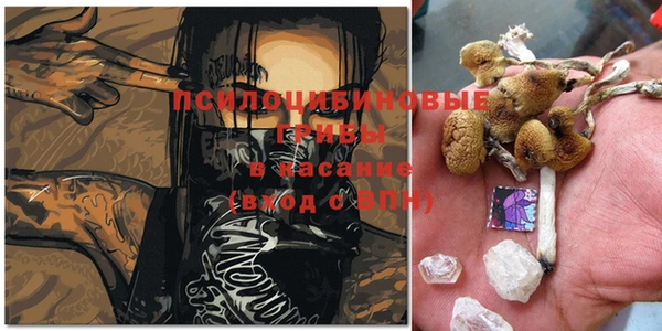 сатива Белокуриха