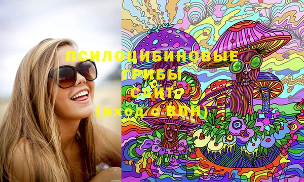 сатива Белокуриха