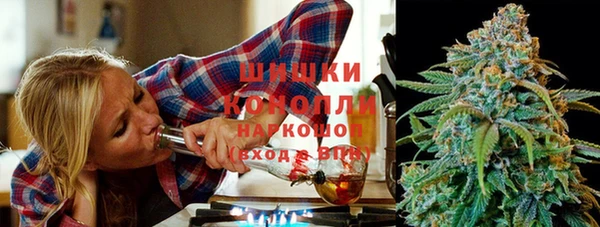 сатива Белокуриха
