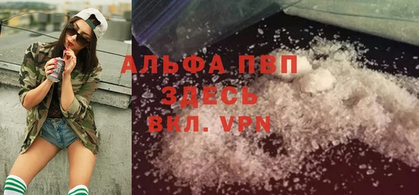 сатива Белокуриха
