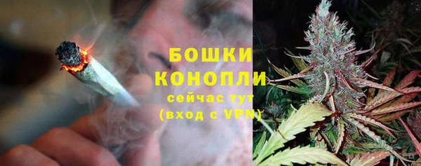 сатива Белокуриха